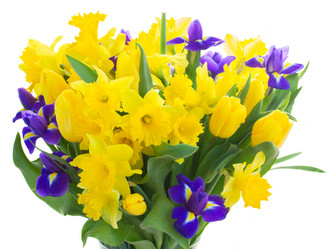 Similar image 7664940