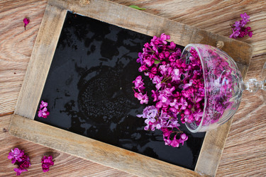 Similar image 7664942