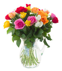 Similar image 7664943