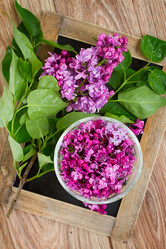 Similar image 7664946