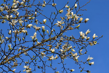 Similar image 7664962