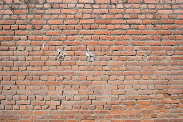 Similar image 7664994