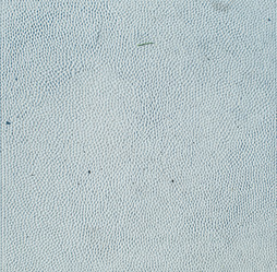 Similar image 7665044