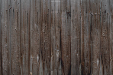 Similar image 7665055