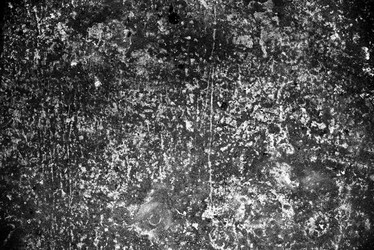 Similar image 7665091