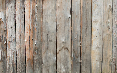 Similar image 7665105