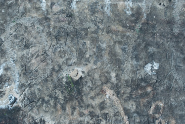 Similar image 7665137