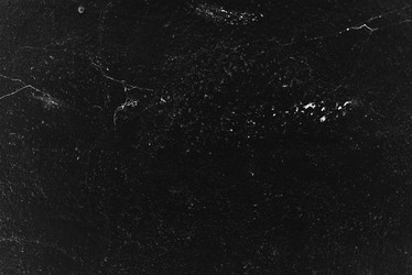 Similar image 7665147