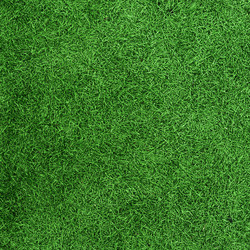 Similar image 7665202