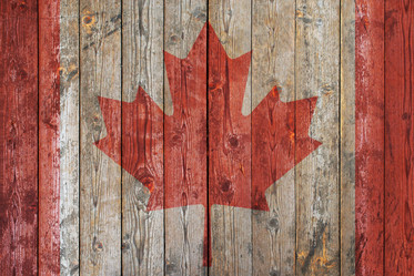 Similar image 7665220