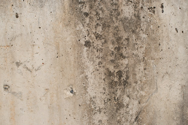 Similar image 7665243