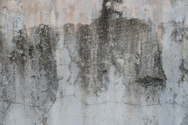 Similar image 7665266