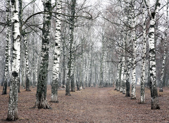 Similar image 7665692