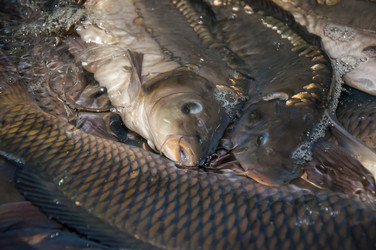 Similar image 7665711