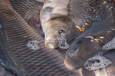 Similar image 7665712