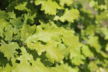 Similar image 7665729