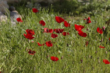 Similar image 7665746