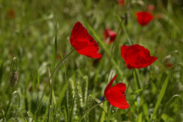 Similar image 7665747