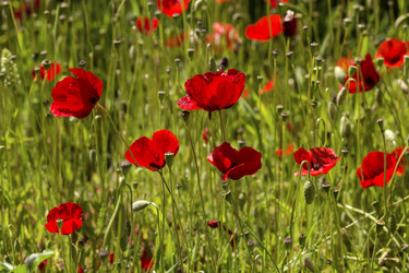 Similar image 7665749