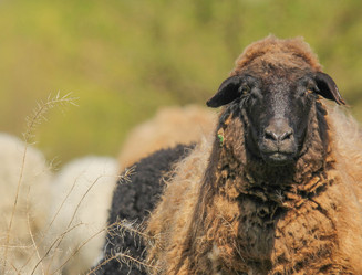 Similar image 7665756