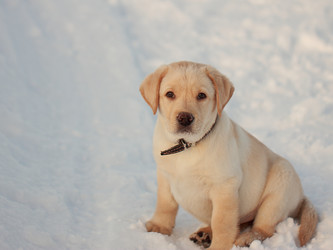 Similar image 7665757