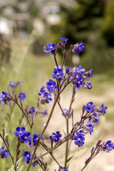 Similar image 7665758