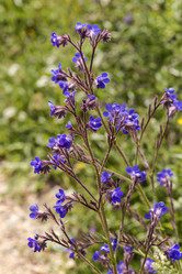 Similar image 7665759