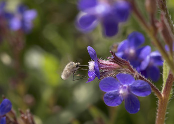 Similar image 7665760