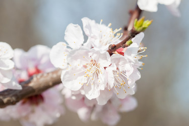 Similar image 7665769