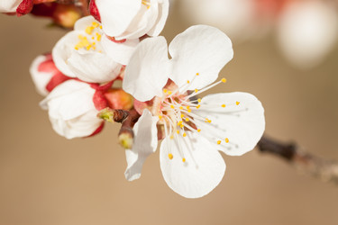 Similar image 7665774