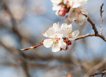 Similar image 7665776