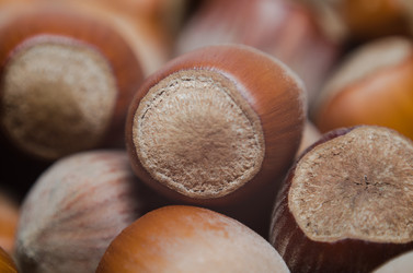 Similar image 7665840