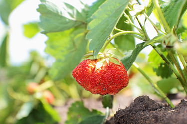 Similar image 7665843