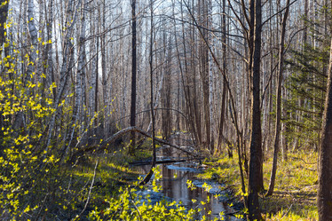 Similar image 7665851