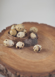 Similar image 7665921