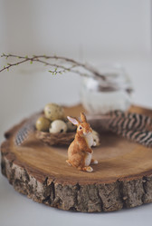 Similar image 7665922