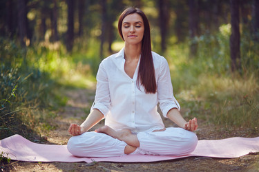 Similar image 7666005