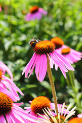 Similar image 7666011