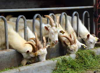 Similar image 7666038