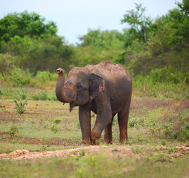 Similar image 7666041