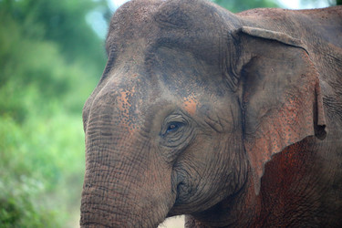 Similar image 7666042