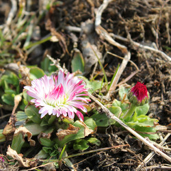 Similar image 7666071