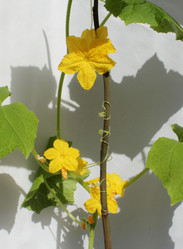 Similar image 7666074