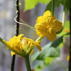 Similar image 7666075