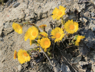 Similar image 7666102