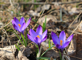 Similar image 7666109