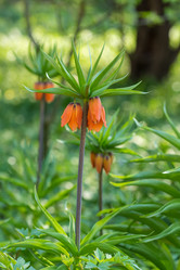 Similar image 7666143