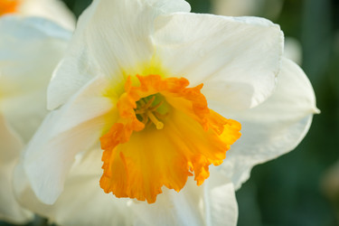 Similar image 7666145