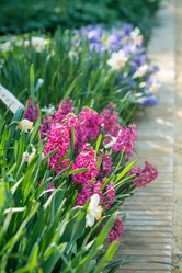 Similar image 7666146