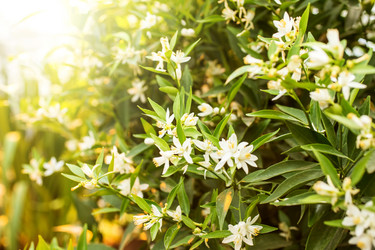 Similar image 7666149